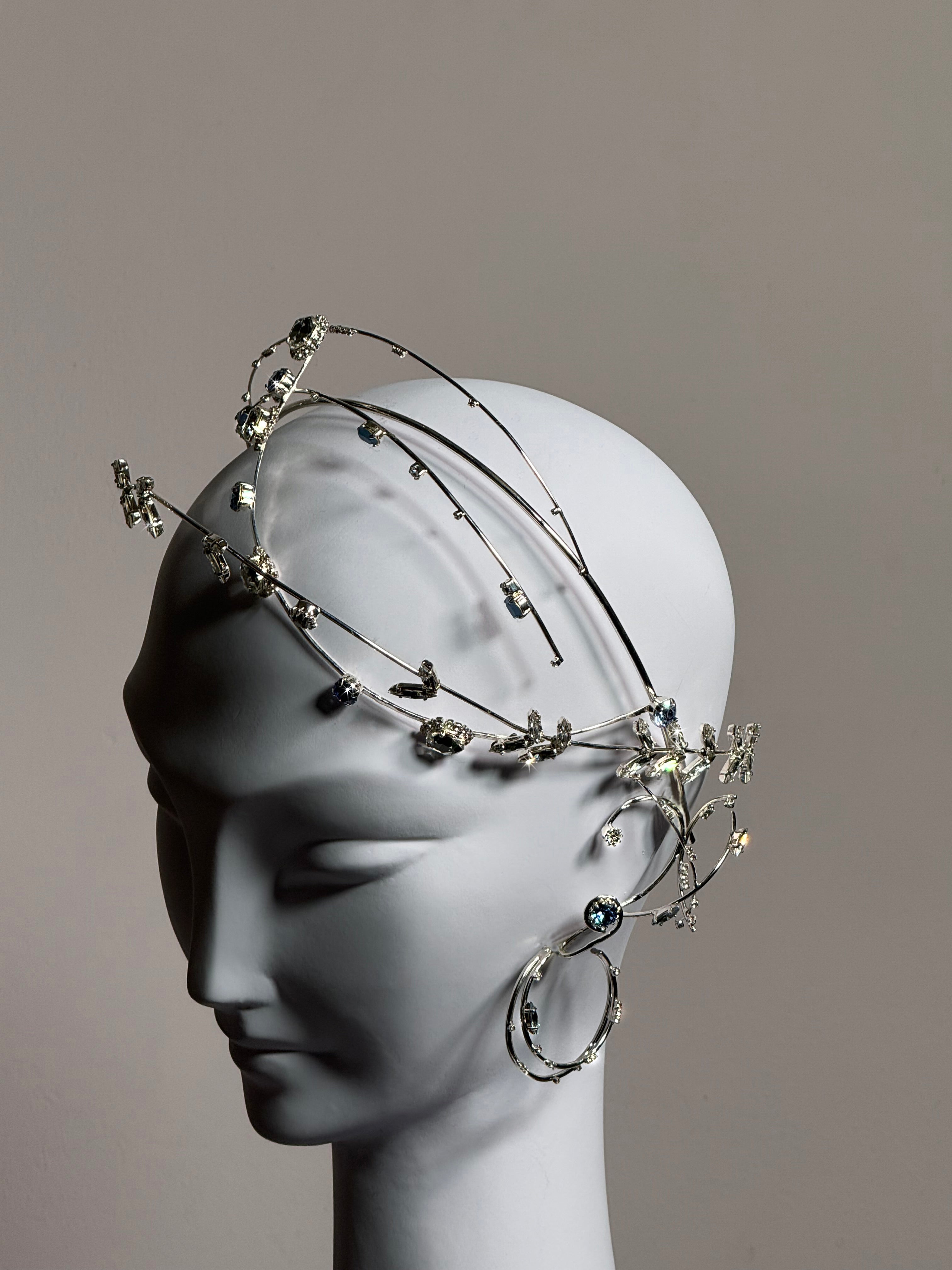 イヤーウィグ earwig パスト past イヤーウィグ earwig パスト past イヤーウィグ earwig パスト